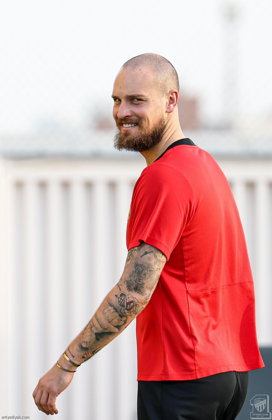 تحضيرات النمور