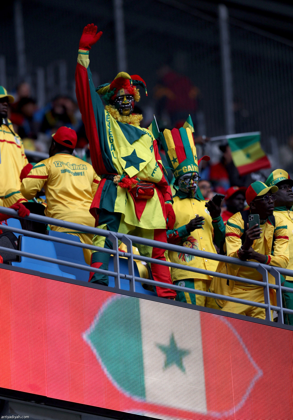 «فراعنة» و«أسود»