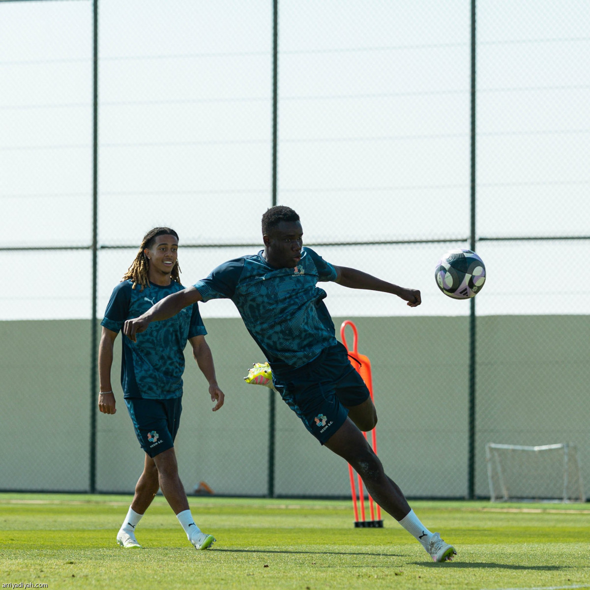 تحضيرات نيوم