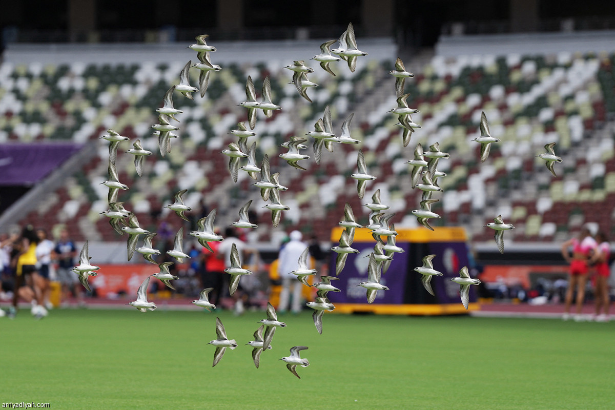 ألعاب طوكيو تنطلق