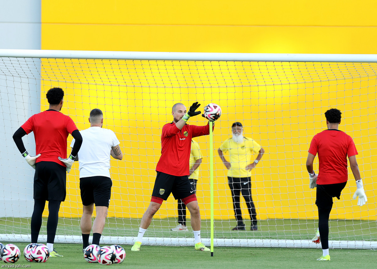 «النمور» تتربص