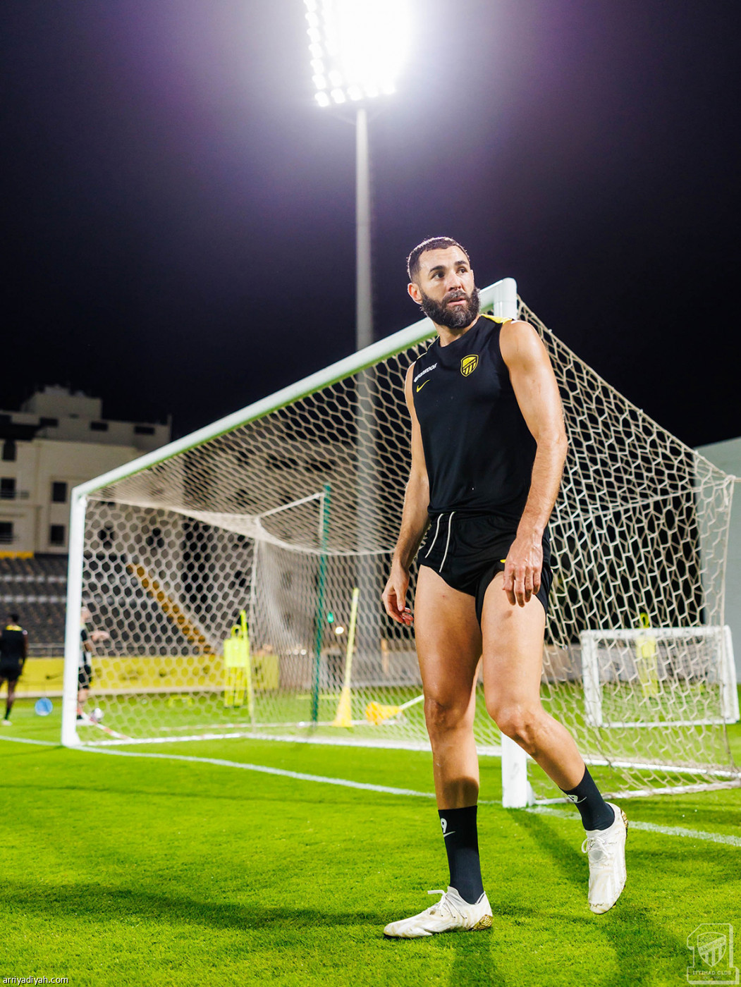 «النمور» يستعدون