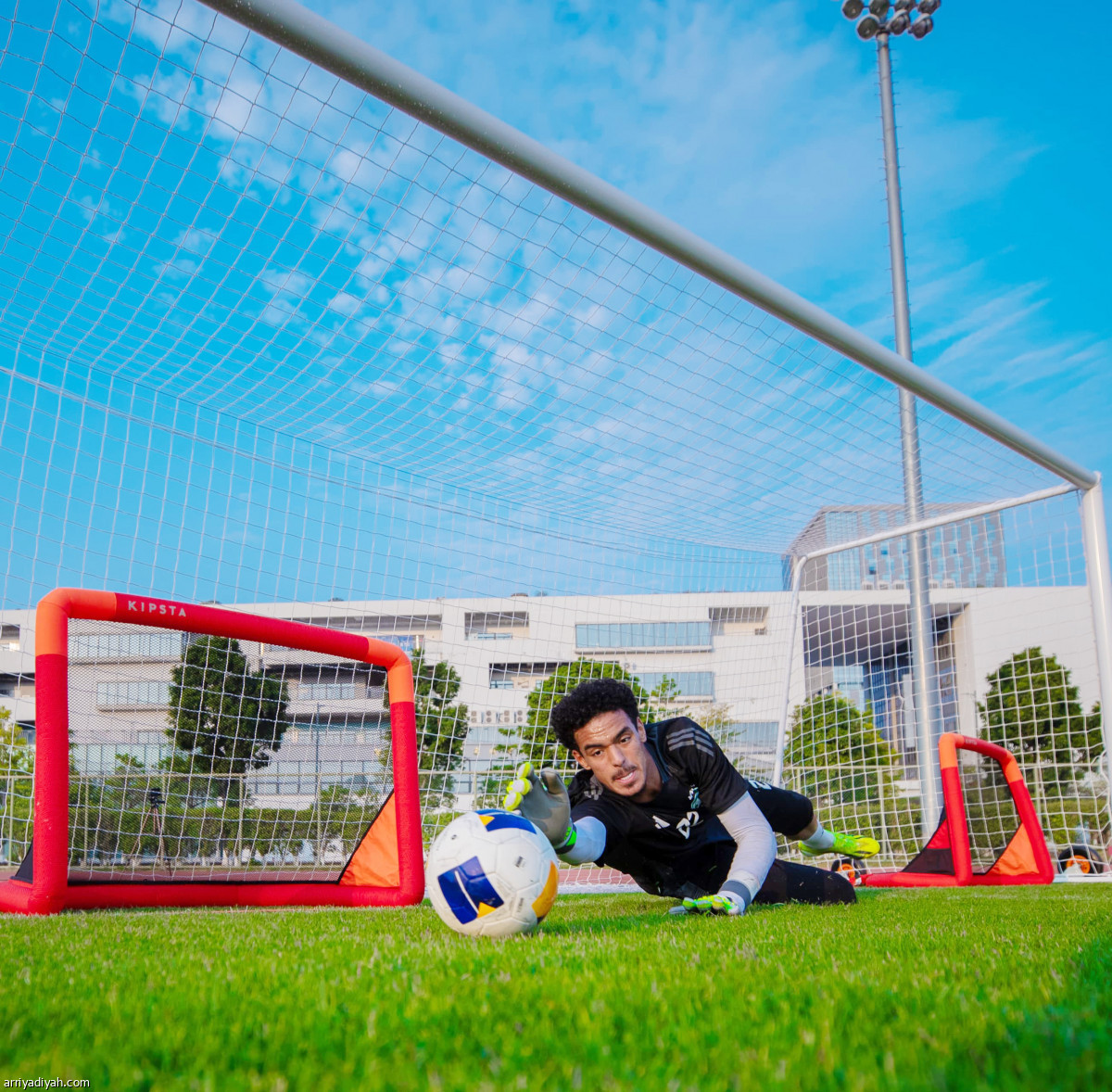 تحضيرات الصقور