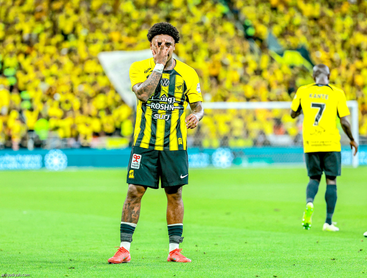 النمور تفرح