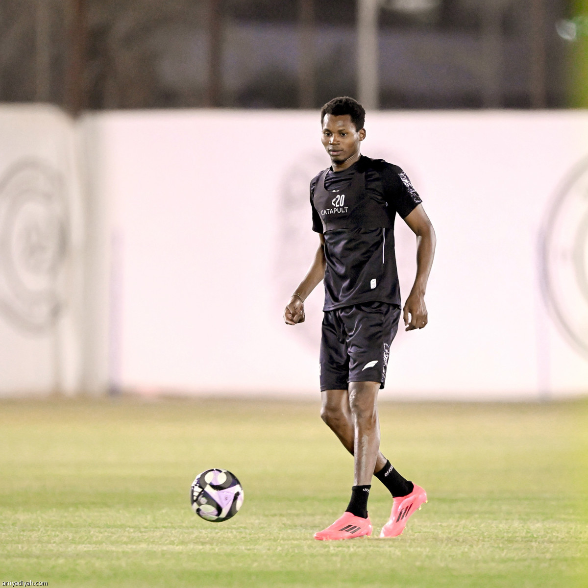 الليوث تتأهب