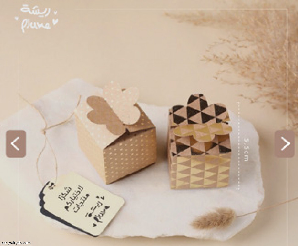 «ريشة»..
رحلة 10 أعوام