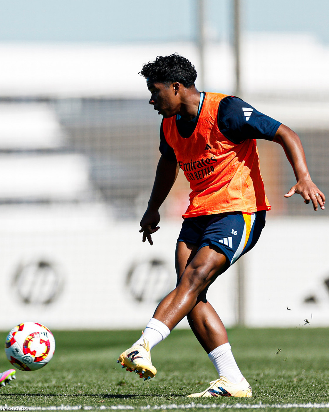 التحضيرات الأخيرة