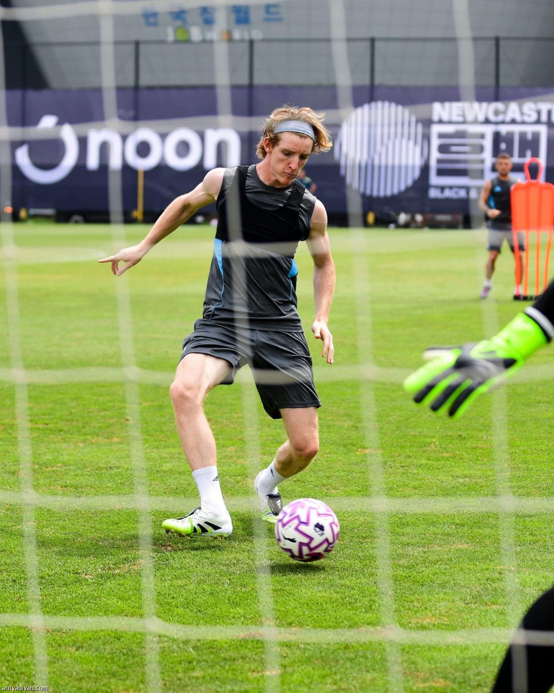 نيوكاسل.. نهاية الجولة