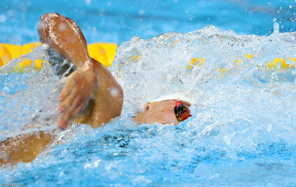 بوبوفيتشي بطل