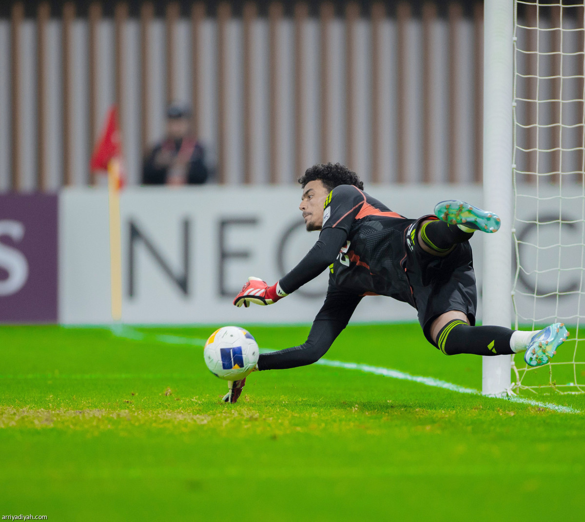 الصقور إلى النهائي